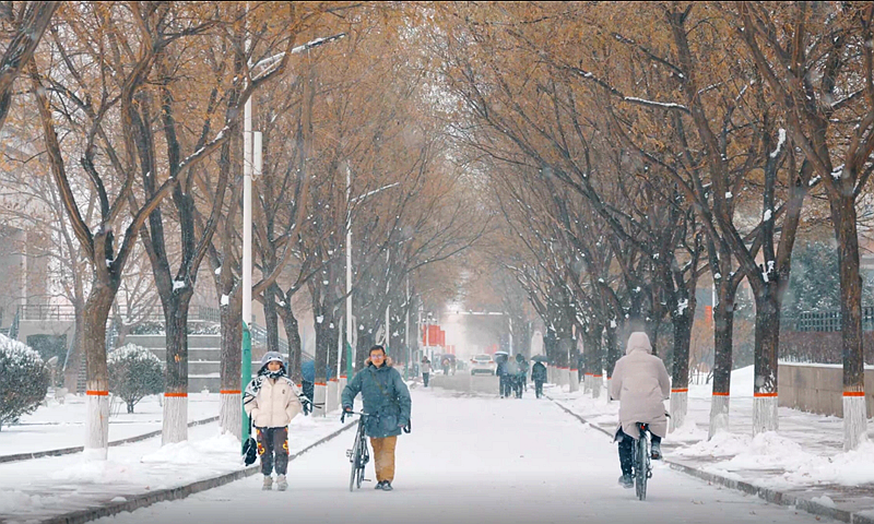 【视频】瑞雪迎新